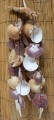 Starfish and Shell Chime