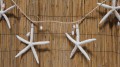 6' Large White Starfish Garland