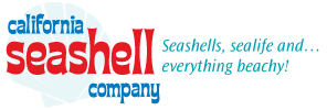 California Seashell Company Retail