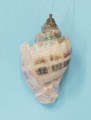 Small Glitter King Crown Ornament