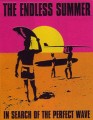 Endless Summer Movie Poster Metal Sign