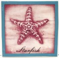 Shell Coasters with Holder