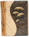 Dolphin Photo Album