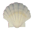 Pectin Albican 2"+