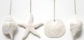 4-Asst. Pearlized Ceramic Shell Ornament (12 Pieces)