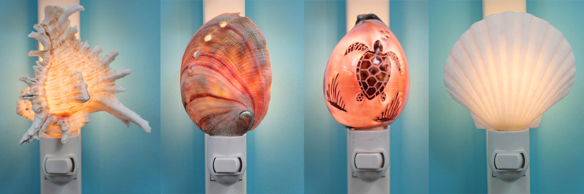 Seashell Night LIghts